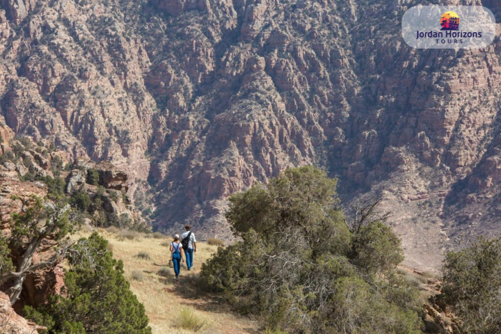 Tour de Senderismo en Jordania: Travesía de Dana a Petra - 10 giorni 09 notti